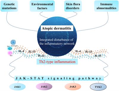 Janus kinase inhibitors in atopic dermatitis: an umbrella review of meta-analyses